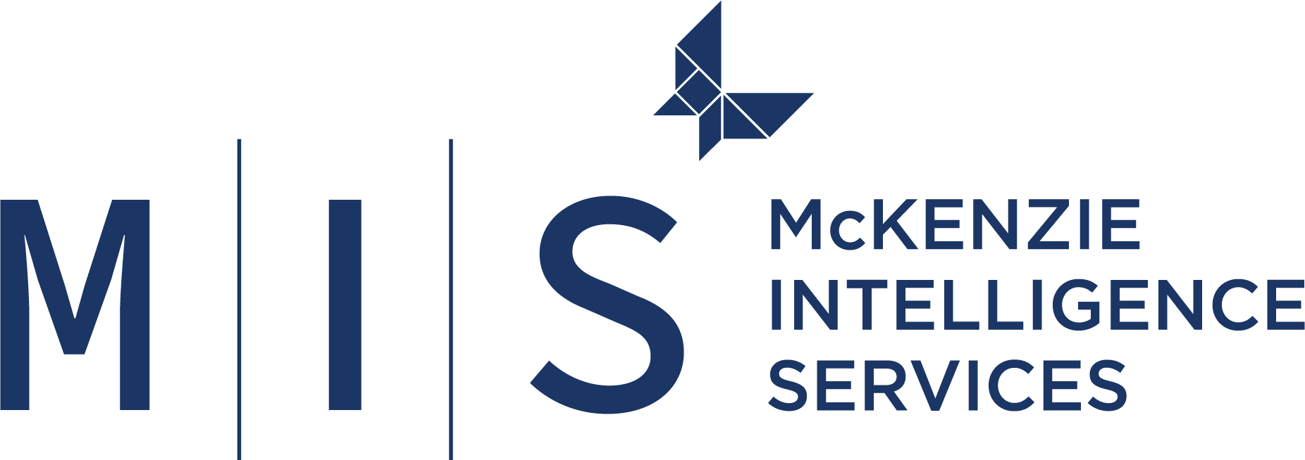 McKenzie Intelligence Services company logo