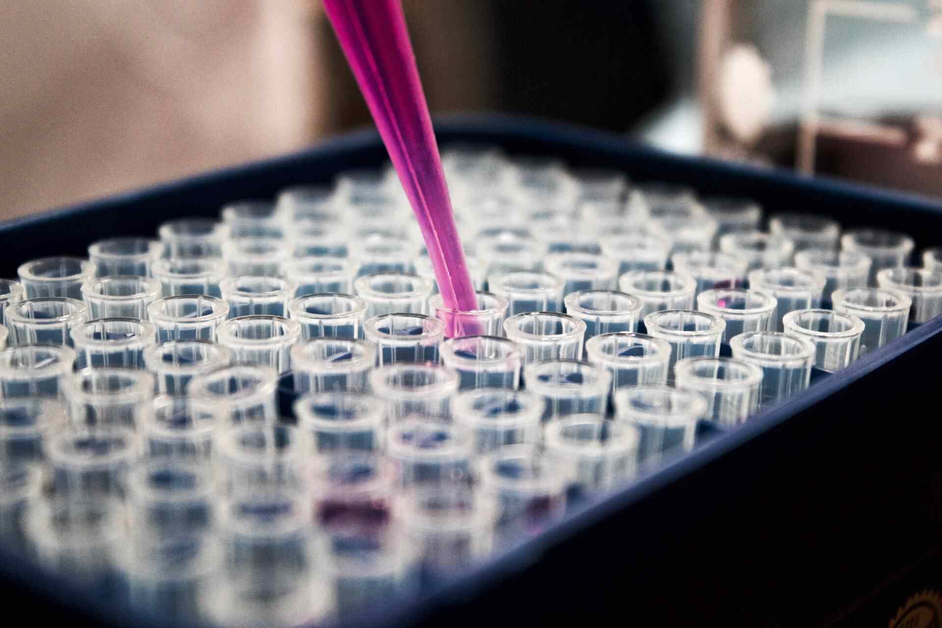 NPIF Maven invests £500,000 in Advanced Bacterial Sciences