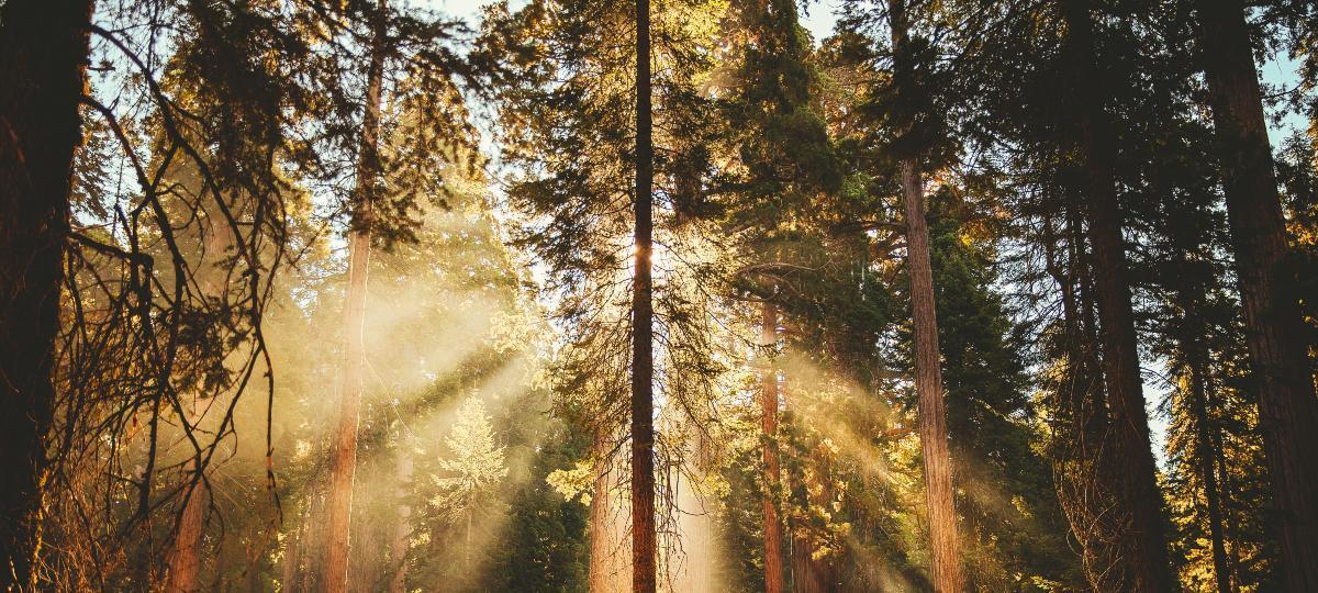 Cutting through the noise: What Renovar VCT shareholders should know