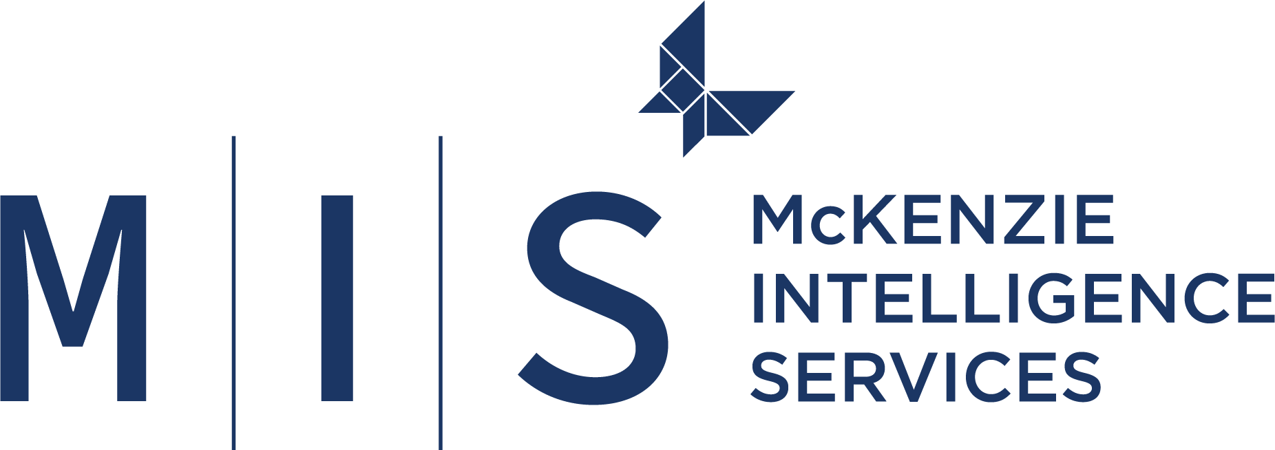 McKenzie Intelligence Services