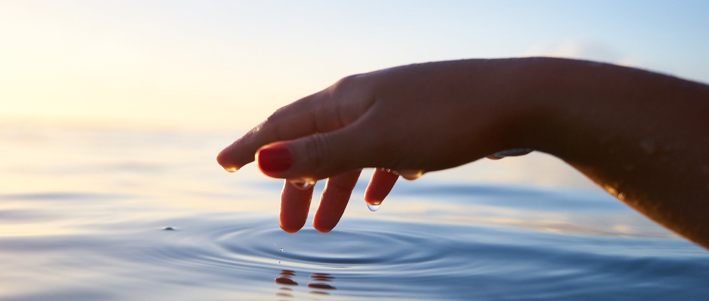 How does a business utilise funding to scale up its technology?