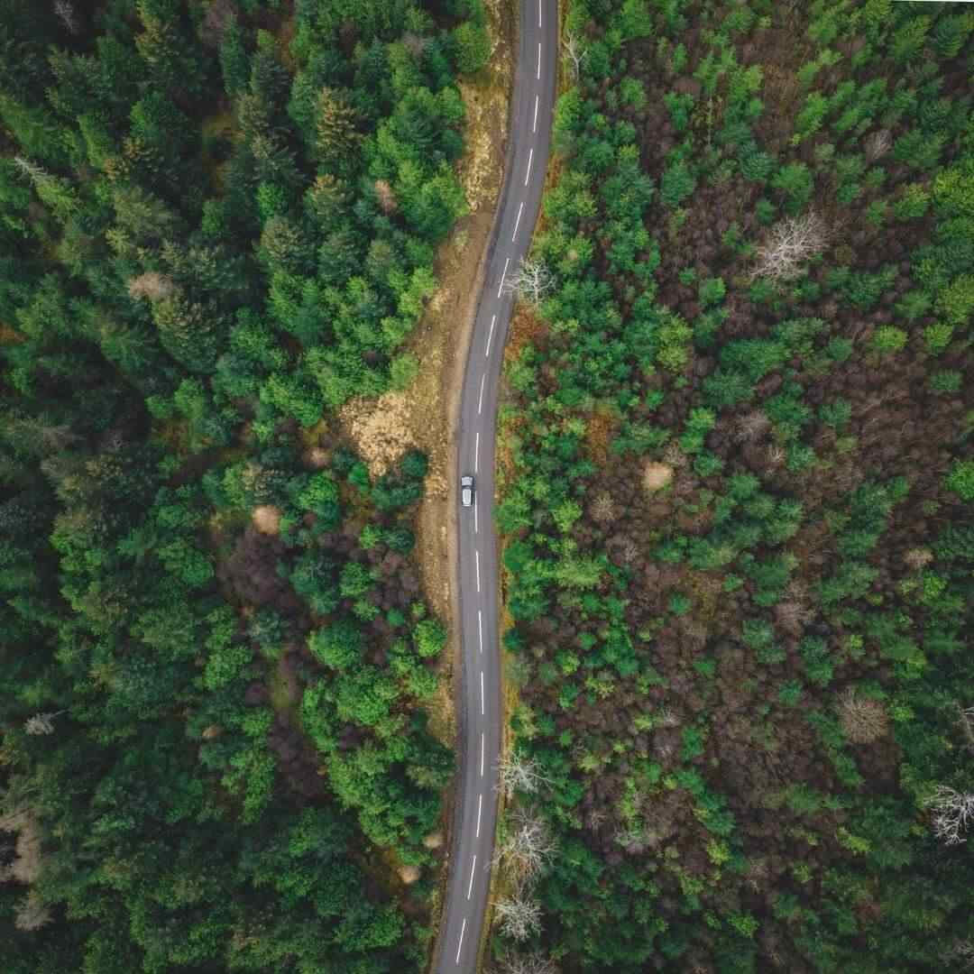 drone image of a car driving through a forest