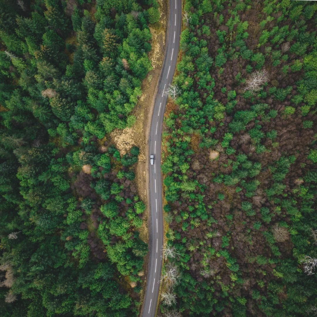 arial forest shot with car representing climate tech company